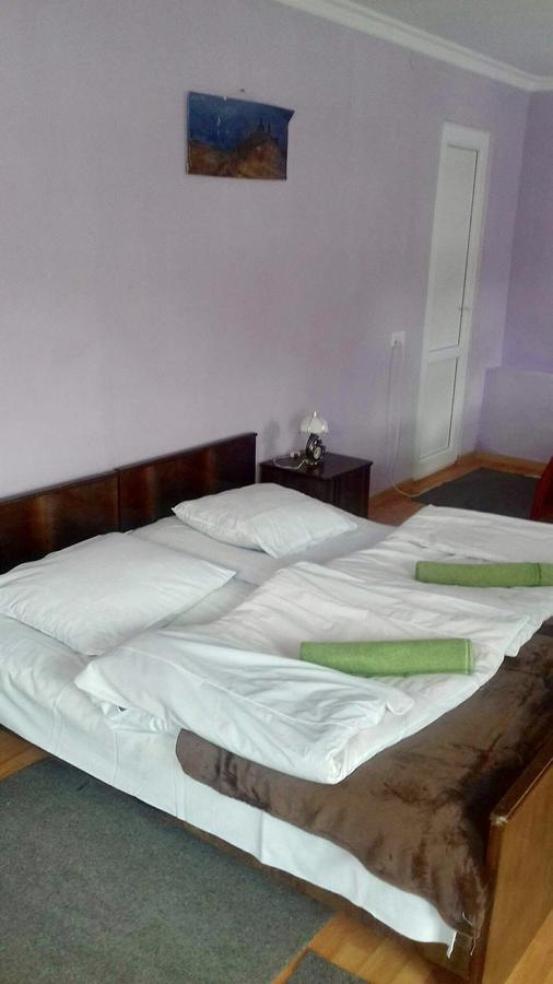 Nino Khetaguri Guest House Kazbegi Exterior foto
